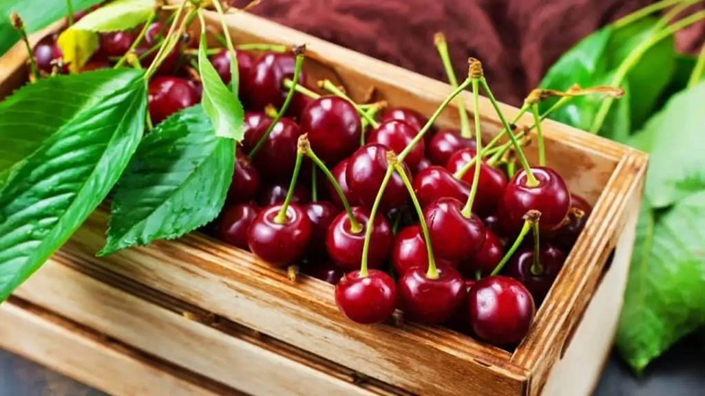 What Fruit Seeds Should You Not Eat