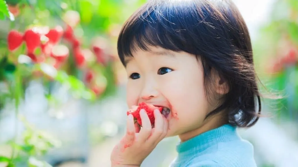 What Happens if You Eat Strawberries Everyday