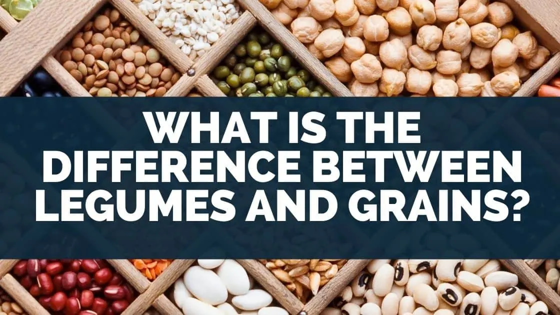 What Is the Difference Between Legumes and Grains