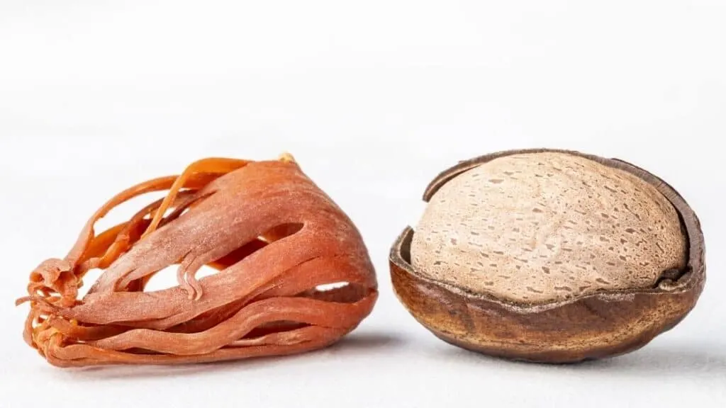 What Is the Difference Between Nutmeg and Mace