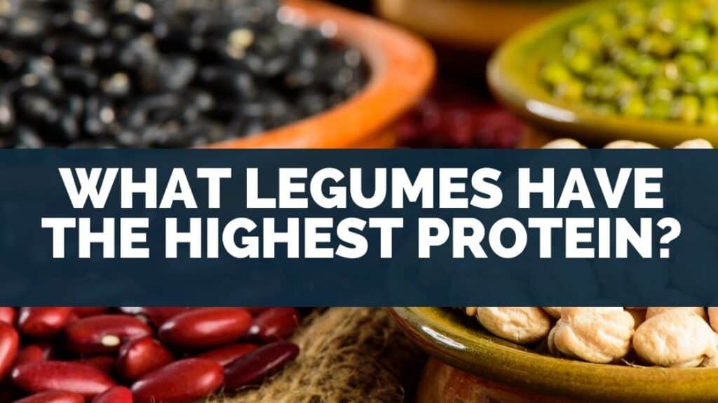 What Legumes Have The Highest Protein