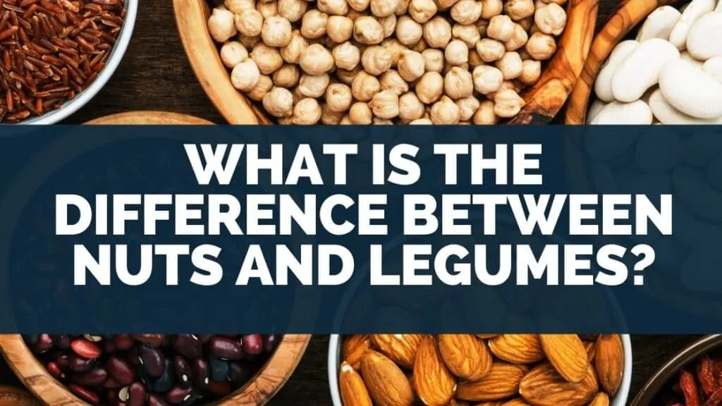 What is the difference between nuts and legumes