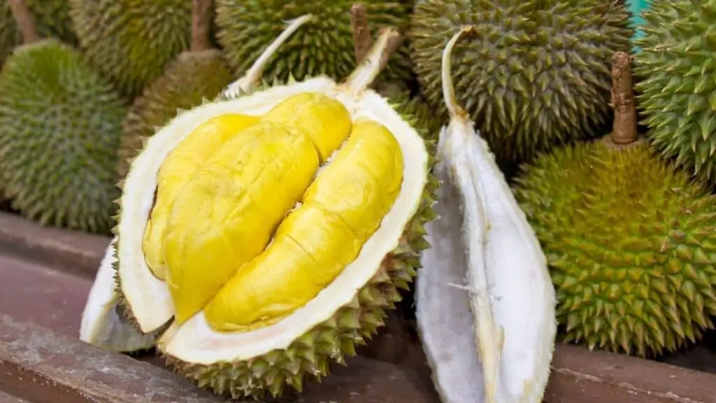 What is the king of all fruits