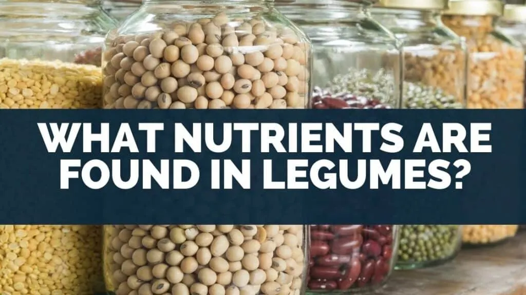 What nutrients are found in legumes