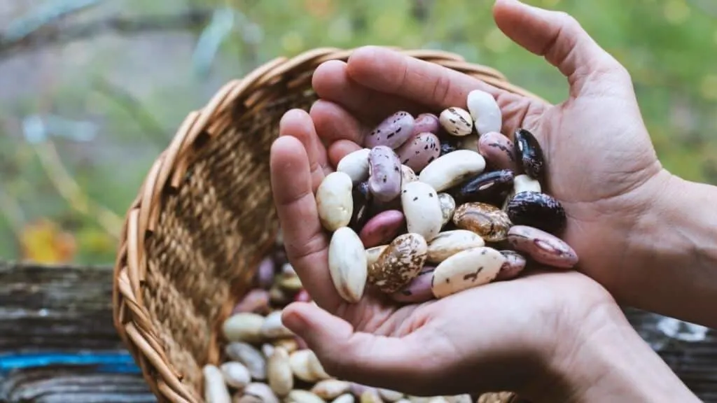 What to put on beans to prevent gas