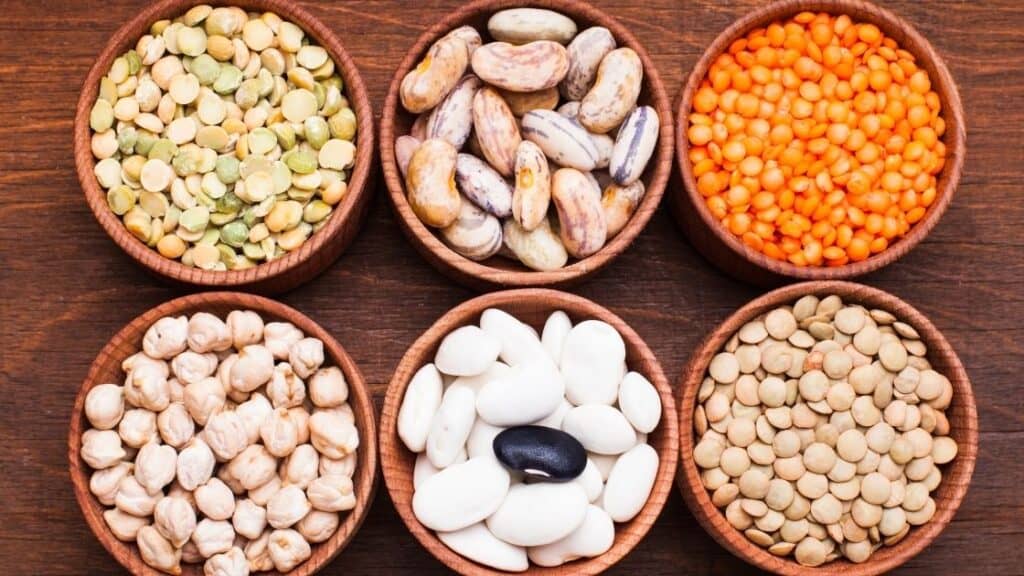 Which Foods Are Legumes