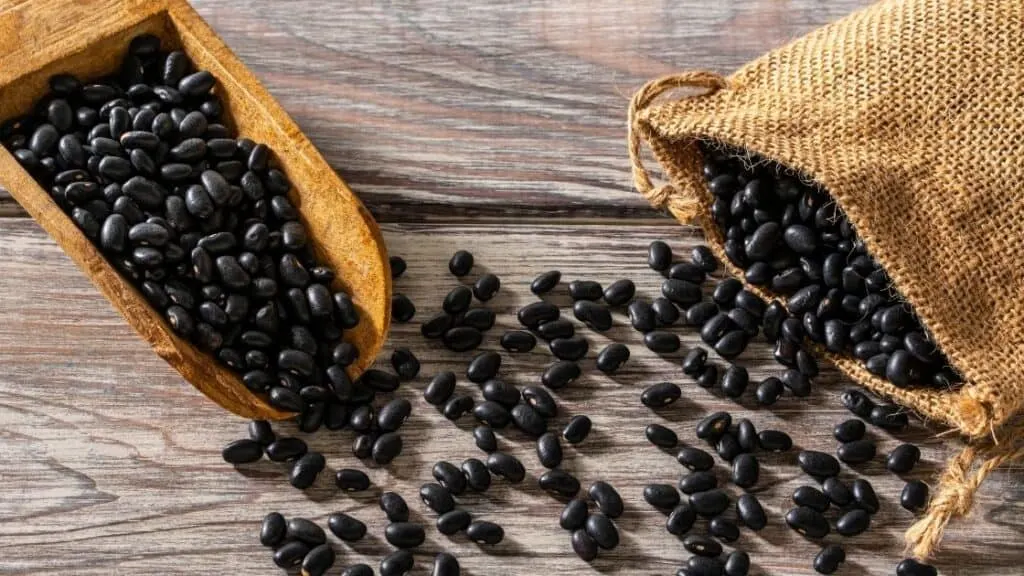 Which beans are low histamine