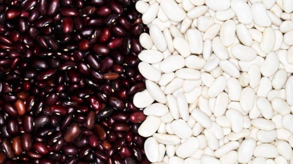 Which is better red or white kidney beans