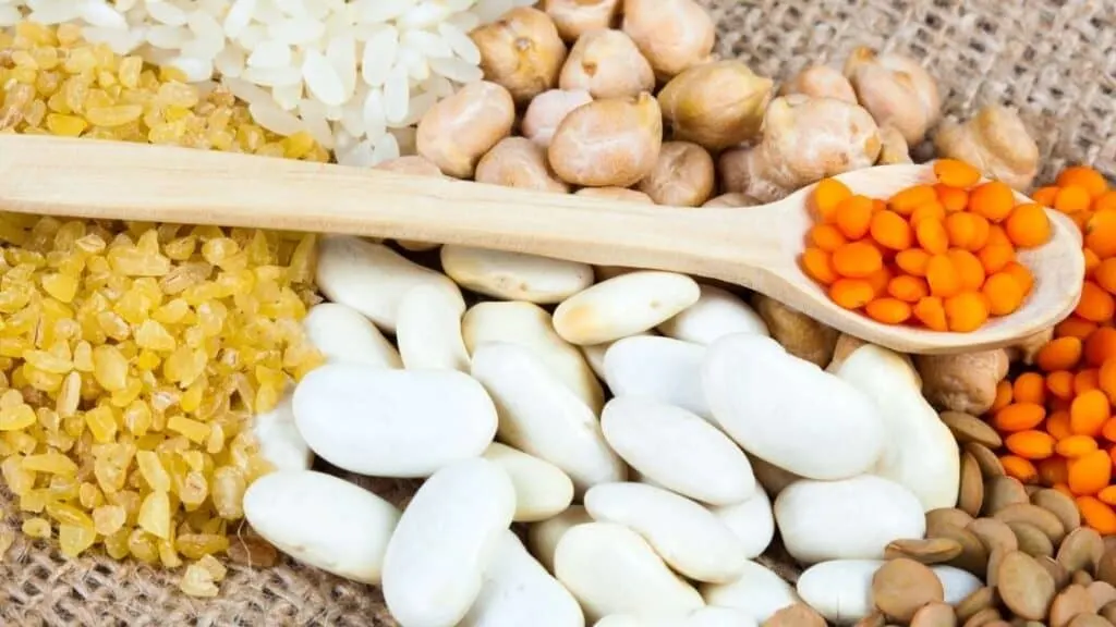 Why Are Legumes Important In Agriculture