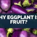 Why Eggplant Is a Fruit