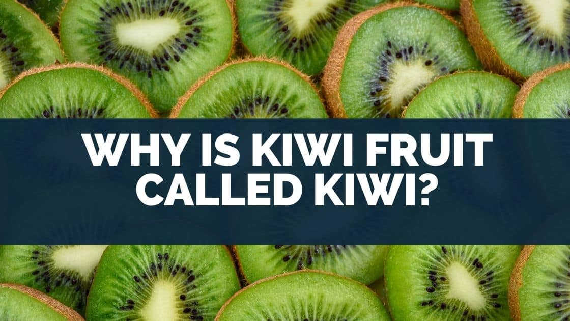 Why Is Kiwi Fruit Called Kiwi