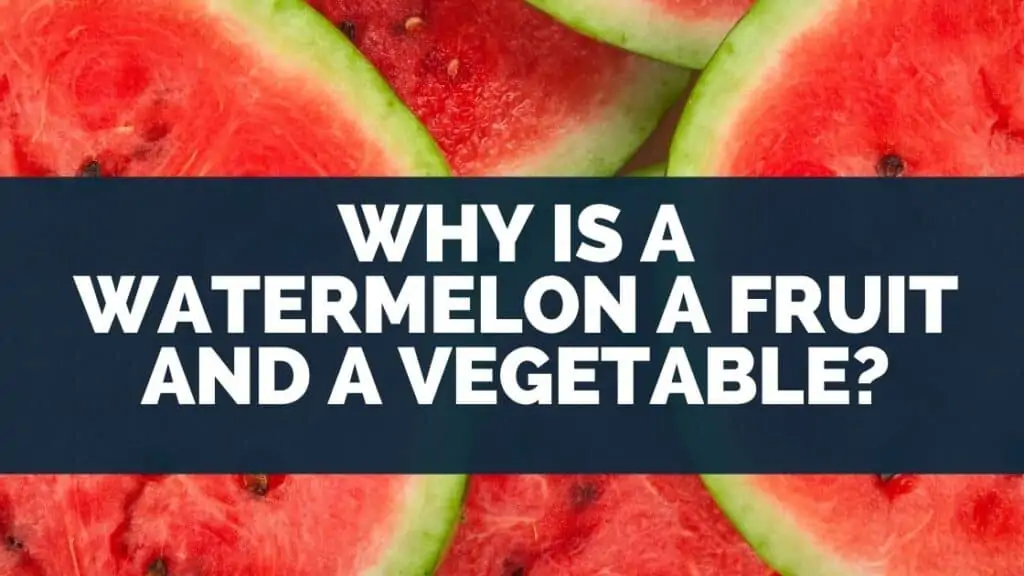 Why Is a Watermelon a Fruit and a Vegetable