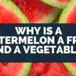 Why Is a Watermelon a Fruit and a Vegetable