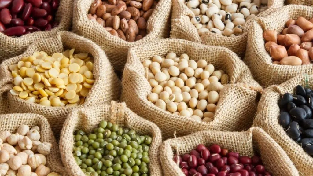 Why Legumes Are Important Crops