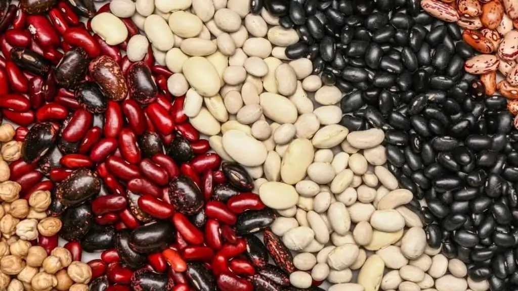 Why are raw legumes poisonous