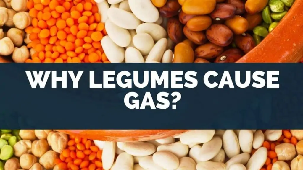 Why legumes cause gas