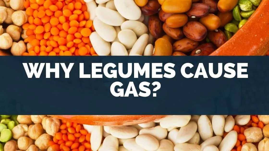Why legumes cause gas
