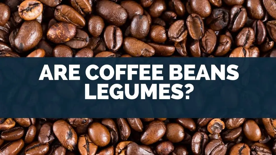 Are Coffee Beans Legumes