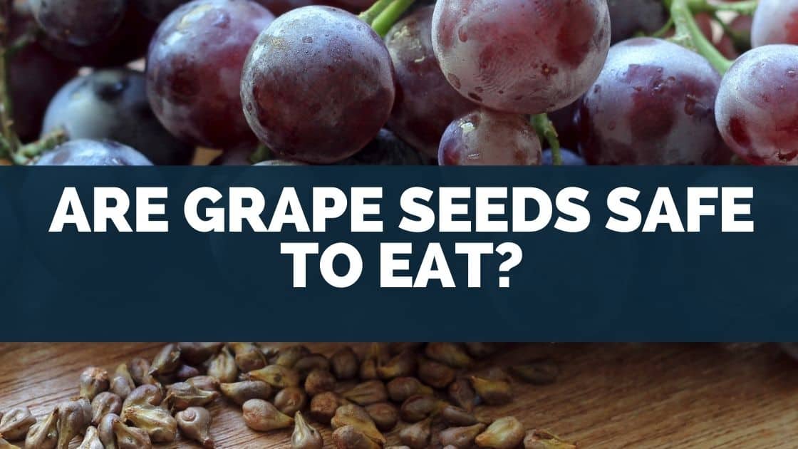 Are grape seeds safe to eat