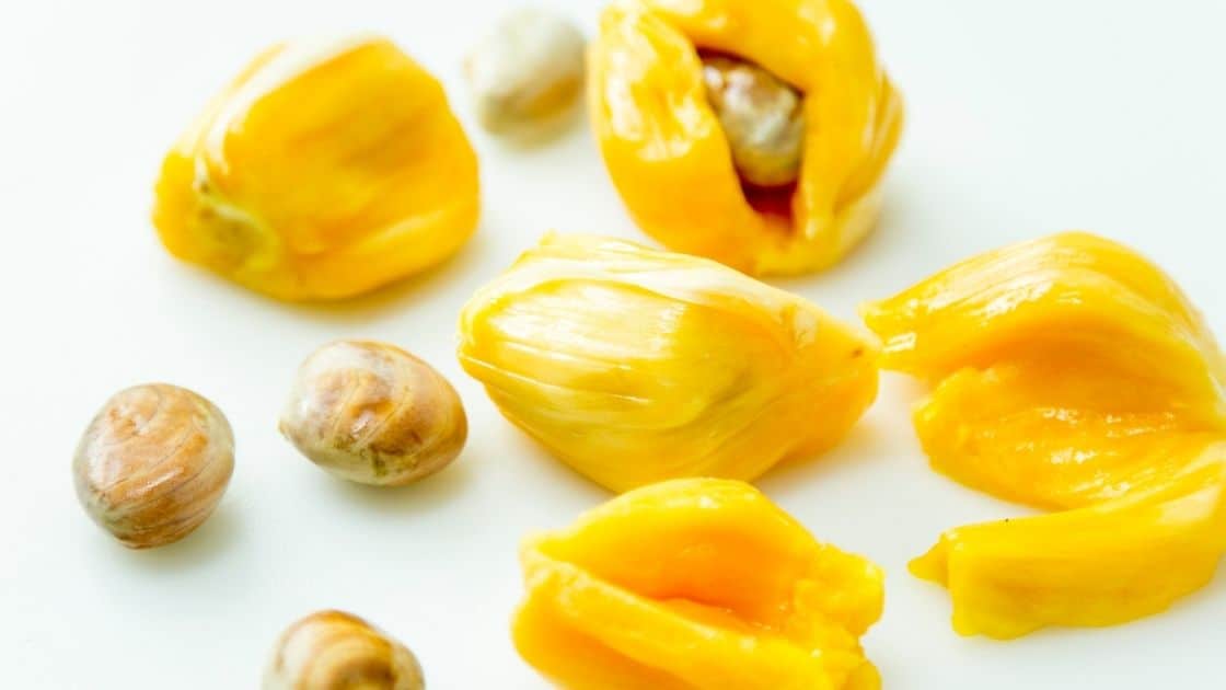What Is The Benefits Of Jackfruit Seeds? [RAW Disadvantages]