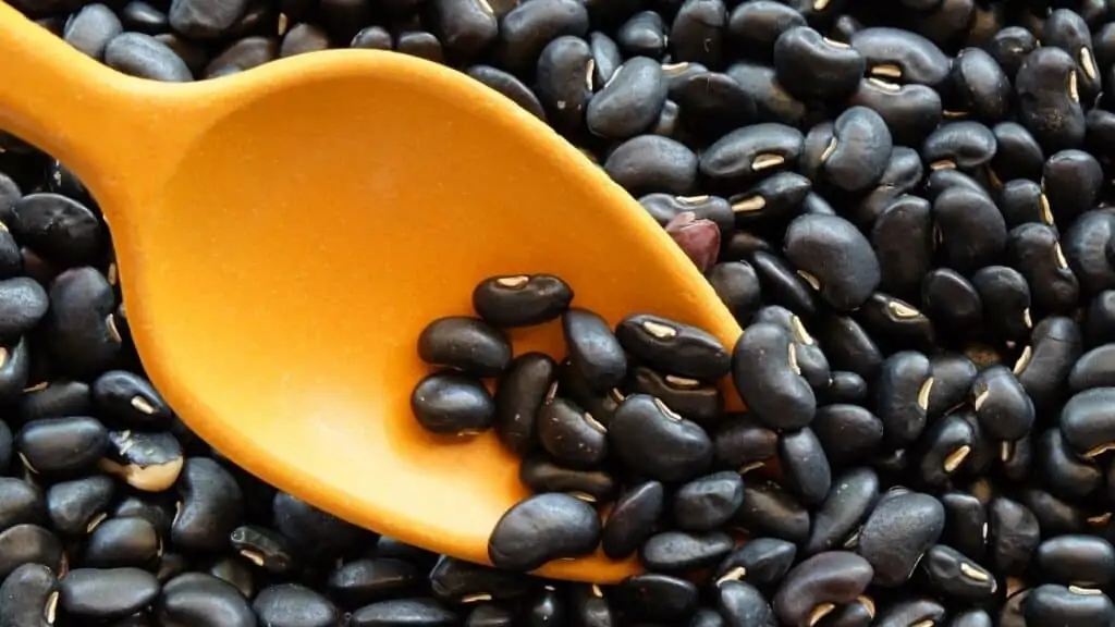 Can I eat black beans every day
