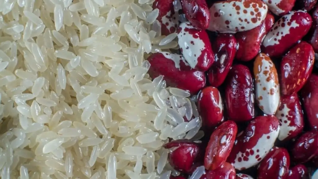 Can I live on beans and rice