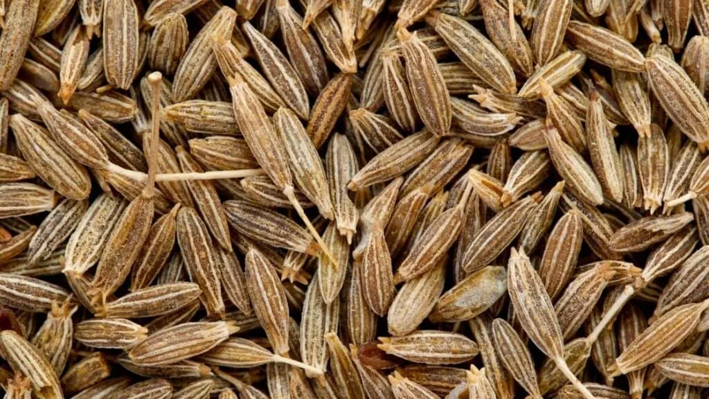 Do Cumin Seeds Have Any Side Effects