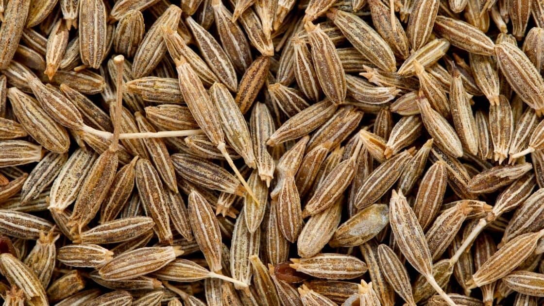 Can I Eat Cumin Seeds Raw? [Nutrients & Mineral Benefits]