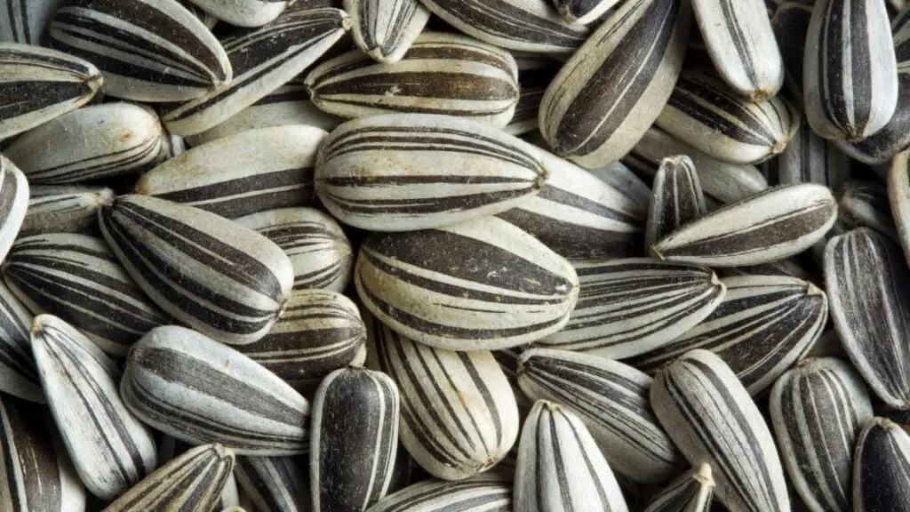 Do Sunflower Seeds Burn Belly Fat