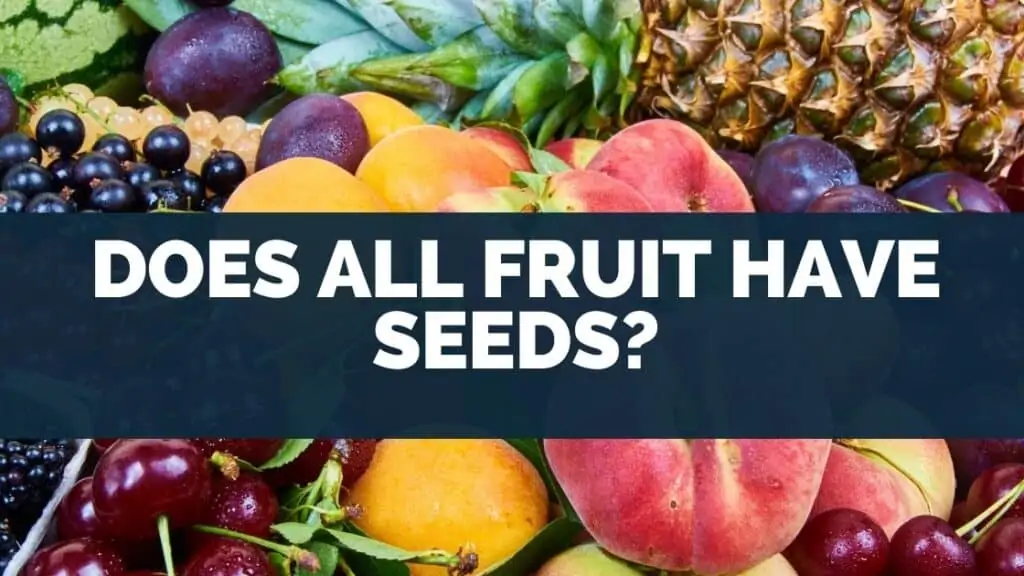 Does All Fruit Have Seeds