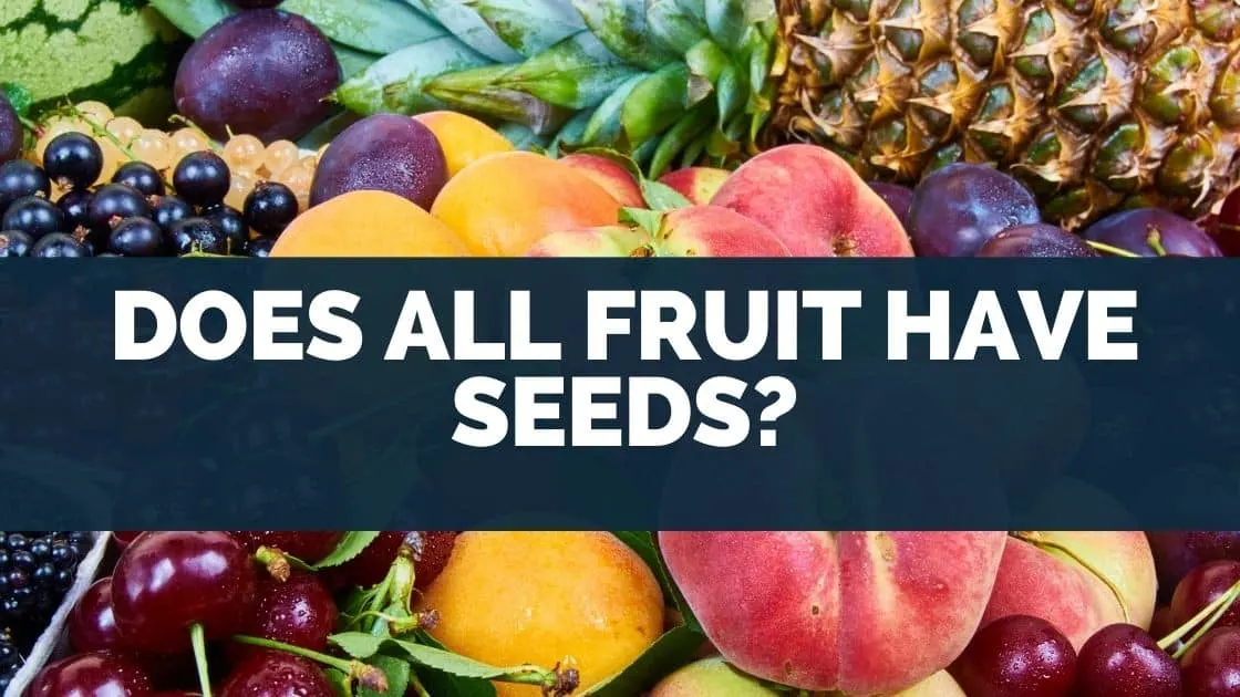 Does All Fruit Have Seeds
