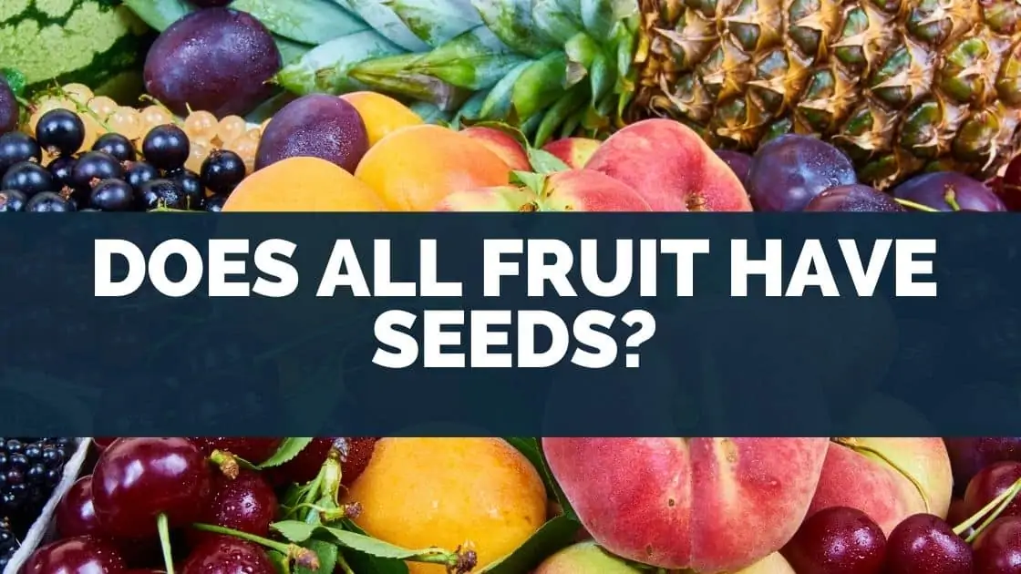 Does All Fruit Have Seeds