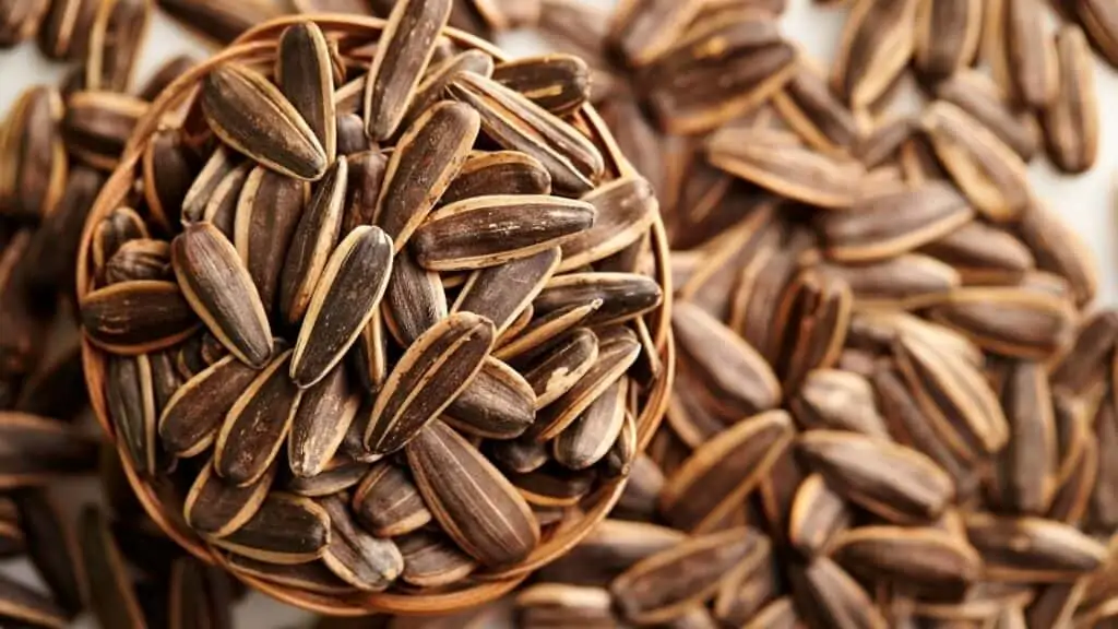How Are Sunflower Seeds Good for You