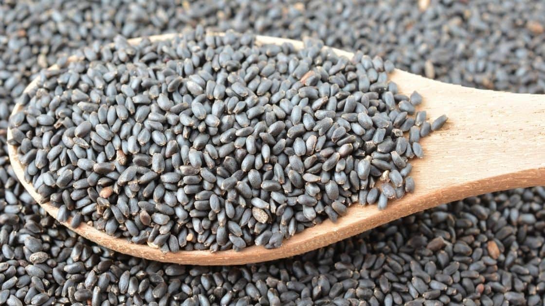 What Are the Uses of Basil Seeds? [Nutritional TIPS] Eat For Longer