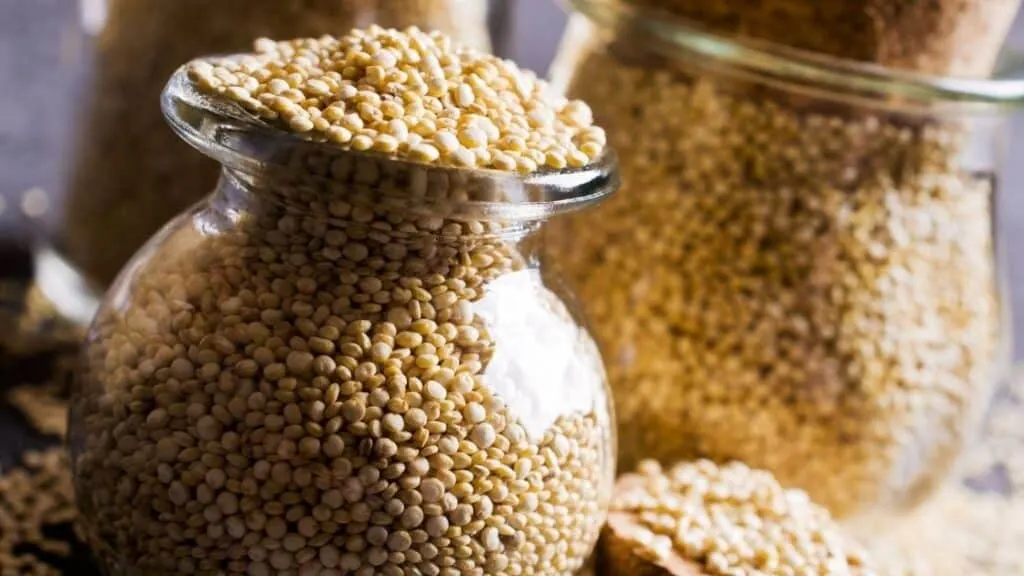 Is it safe to eat quinoa everyday