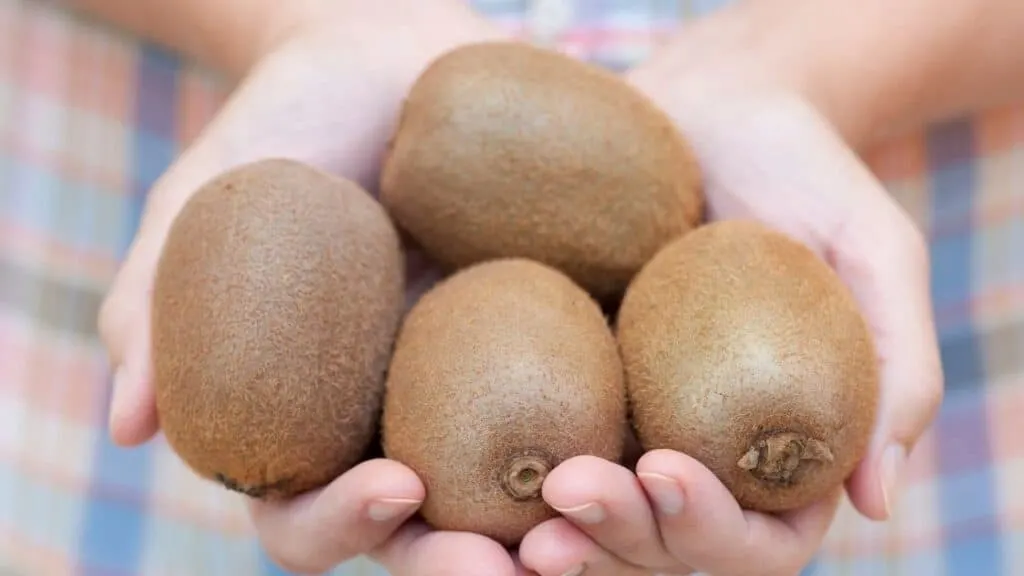 Side effects of eating unripe kiwi