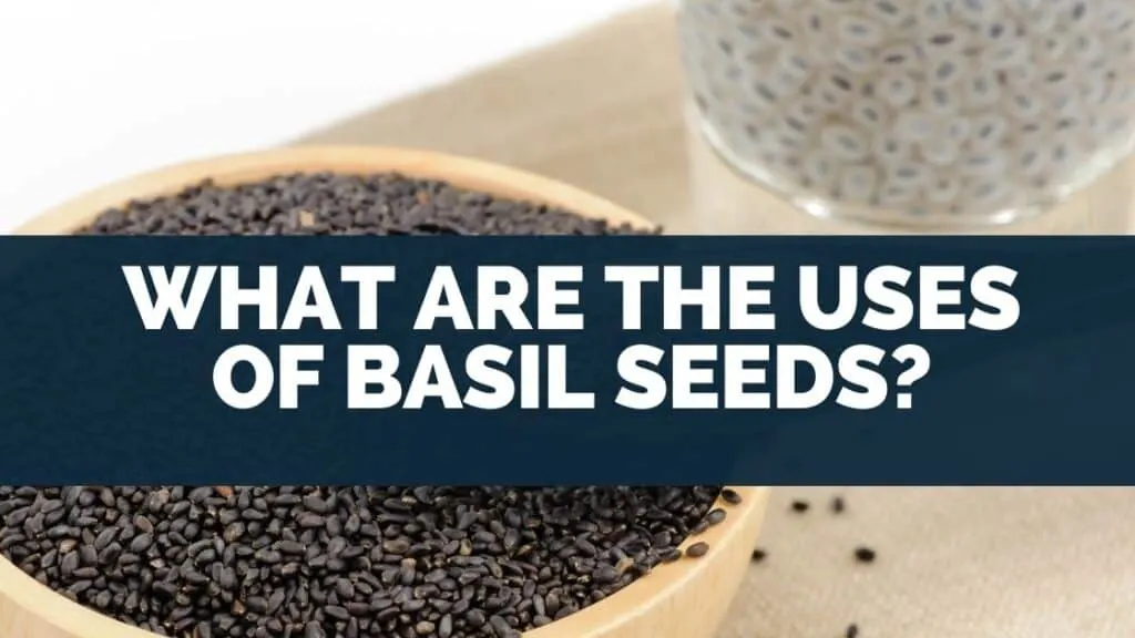 What Are the Uses of Basil Seeds