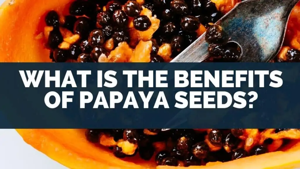 What Is the Benefits of Papaya Seeds