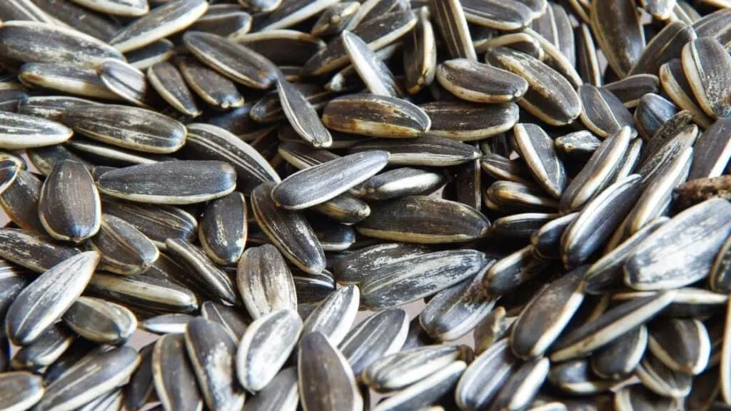 What Nutrients Are in Sunflower Seeds