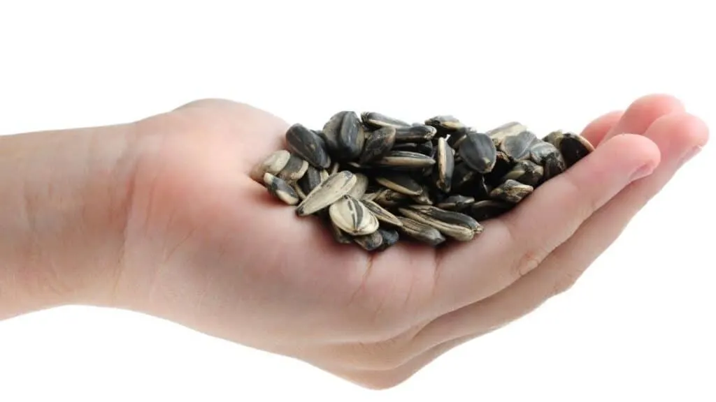 What Vitamins Are in Sunflower Seeds