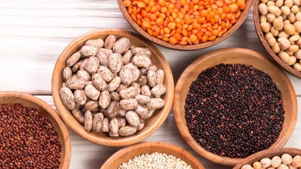 What are legumes