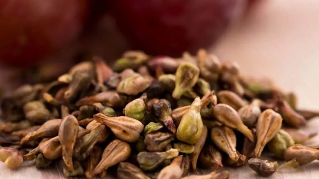 What are the benefits of eating grape seeds