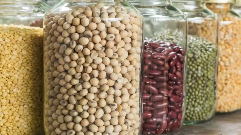 What is the legumes family