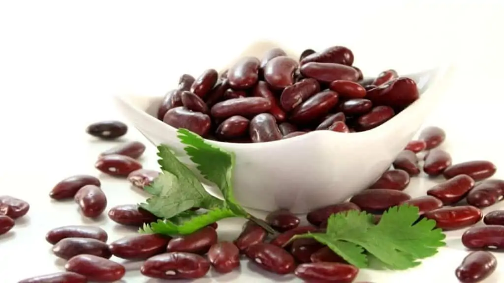 Which bean is the most nutritious