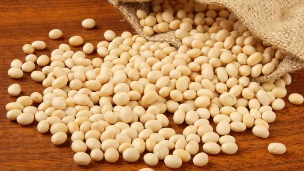 Which legumes are high in calcium