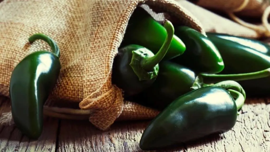 Why are my jalapenos not spicy