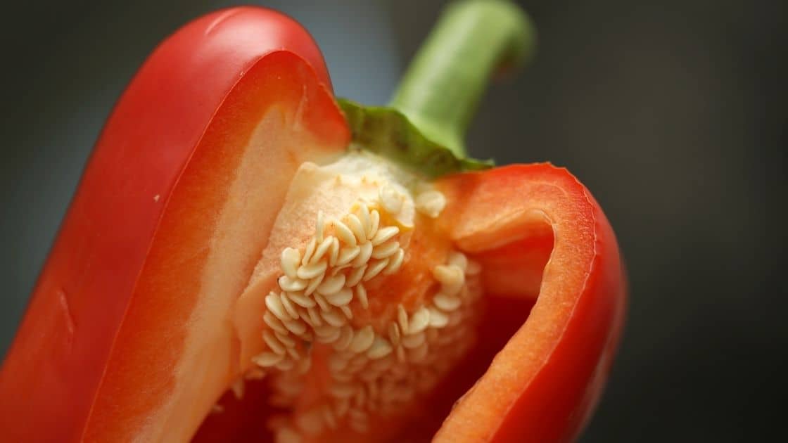 Are Seeds In Peppers Bad For You? [Nutrients Such As...]