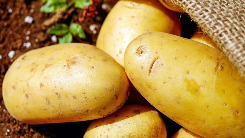 Are Golden Potatoes Fattening