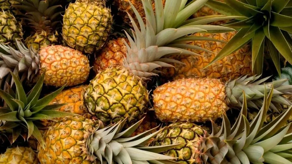 Are Pineapple Seeds Harmful