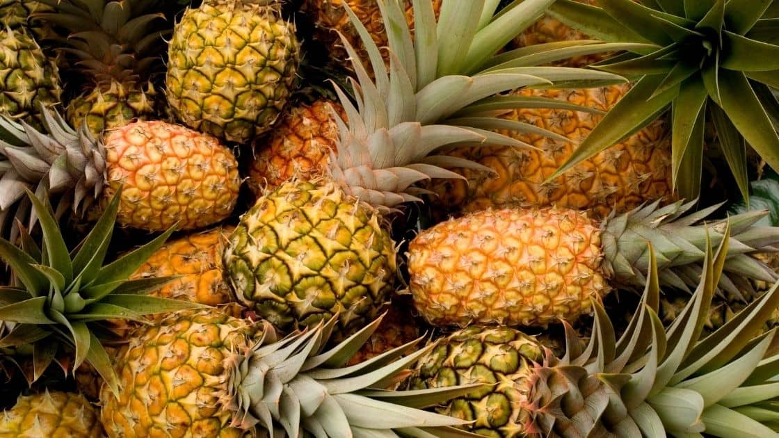 Does A Pineapple Have Seeds? [OK to Eat..] Eat For Longer Food Insights